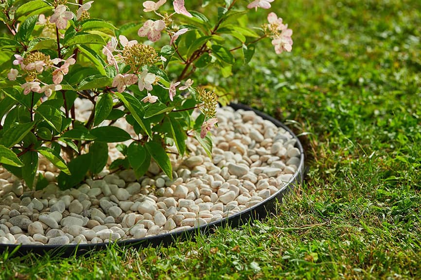 Vaš vrt ili cvjetnjak će uvijek izgledati uredno s ovim fleksibilnim setom Guttagarden rubnjaka.
