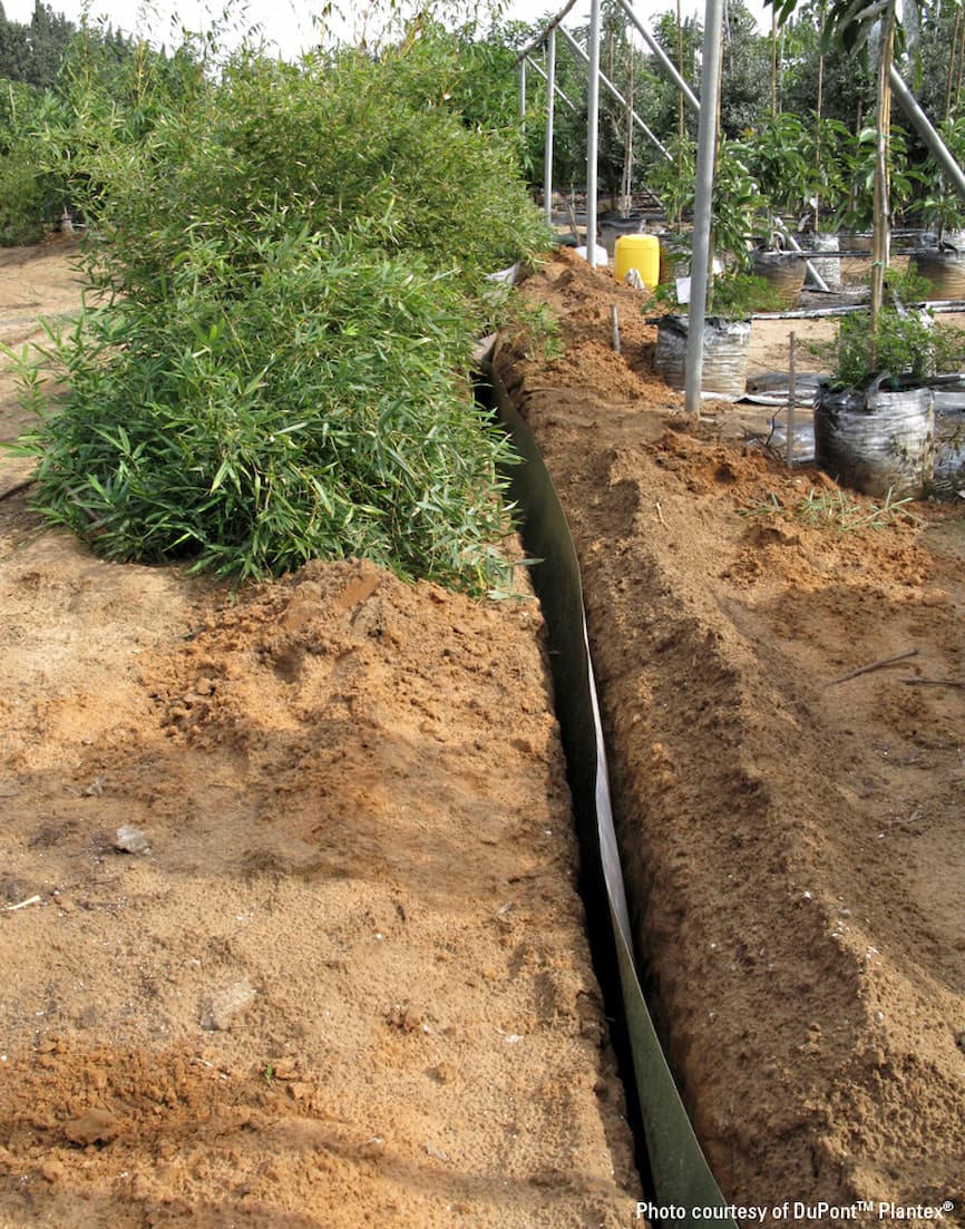 Ugradnja DuPont Plantex RootBarrier barijere u iskopani jarak uz stabiljku bambusa, s vrtom na suprotnoj strani prepreke