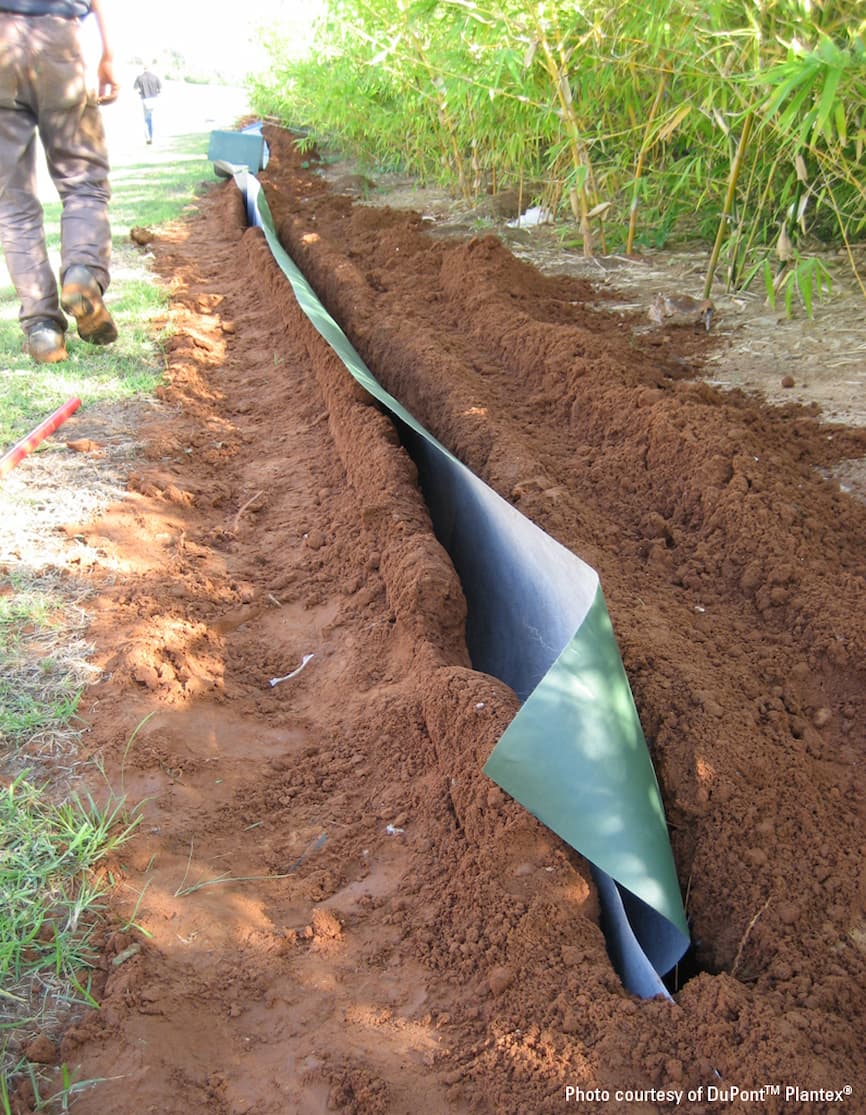 Bambus koji se nekontrolirano širi uz među sa susjednom parcelom, uz iskopani jarak za ugradnju sustava zaštite od korijenja 