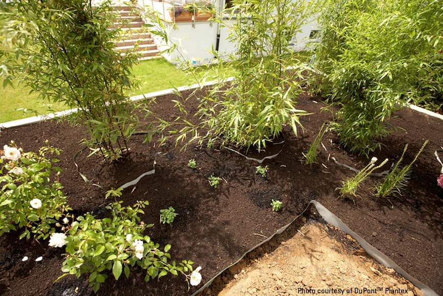 Sadnja bambusa u vrtu s ugrađenom korijenskom barijerom koja sprječava širenje podzemnih rizoma prema travnjaku i stazama.